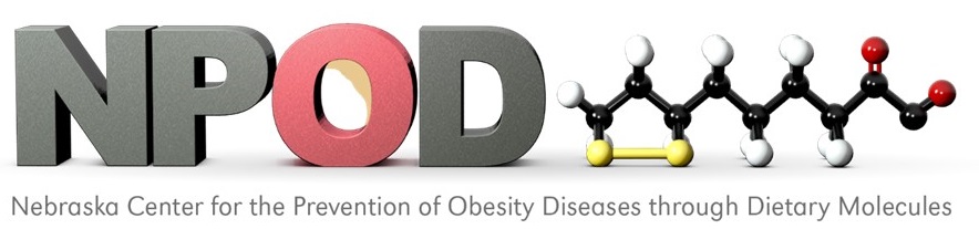 Nebraska Center for the Prevention of Obesity Diseases Logo