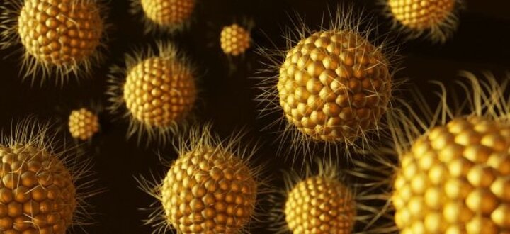 Yellow spherical particles with spiky surfaces floating against a dark background.