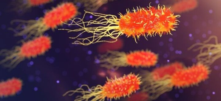 Orange bacteria with yellow thread-like structures floating against a dark, purple backdrop.